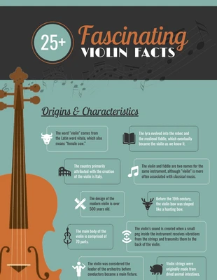 premium  Template: Fascinating Violin Facts Infographic Template