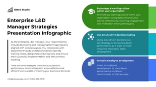 premium  Template: Presentation Infographics Template