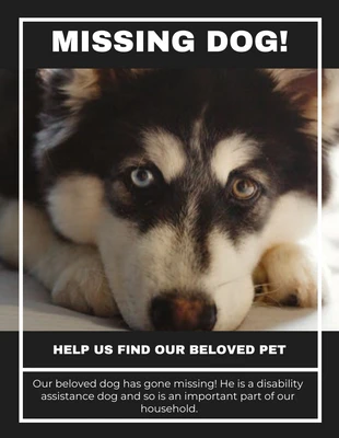 Free  Template: Missing Dog Photo Flyer Template