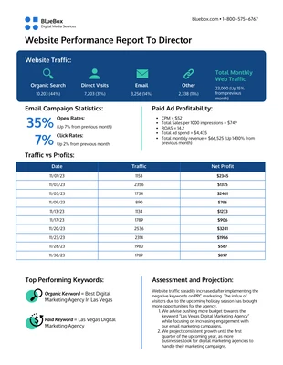 premium  Template: Executive Director Report Template