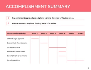 Internal Project Status Report - Page 3