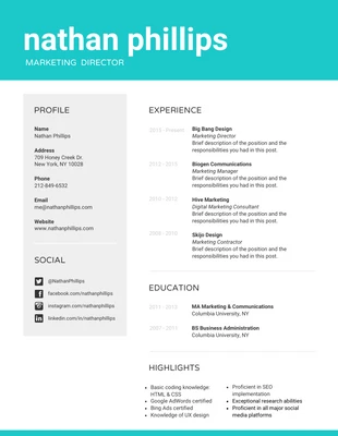 Free  Template: Corporate Marketing Director Resume Template