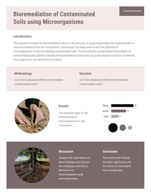 Free  Template: Pastel Bioremediation of Contaminated Soils 