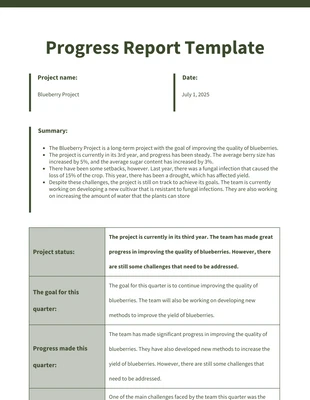 business  Template: Sample Project Progress Report Template