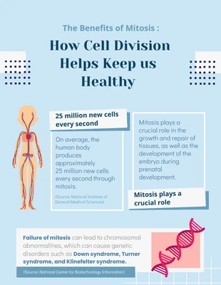 Free  Template: Benefits of Mitosis Infographic Template