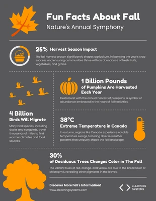 business  Template: Fun Facts About Fall Season Infographic Template