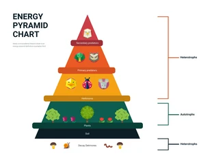 premium  Template: Illustrative Energy Pyramid Chart Template