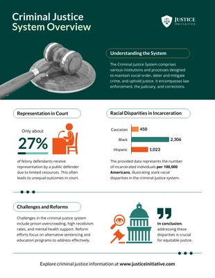 business  Template: Criminal Justice System Overview Infographic Template