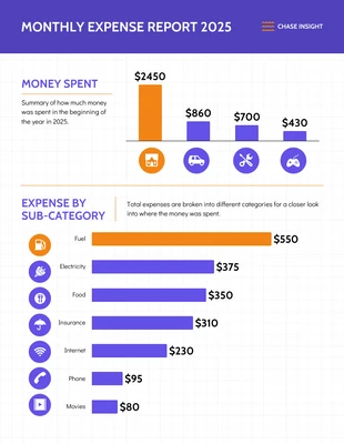 premium  Template: Monthly Expense Report Template