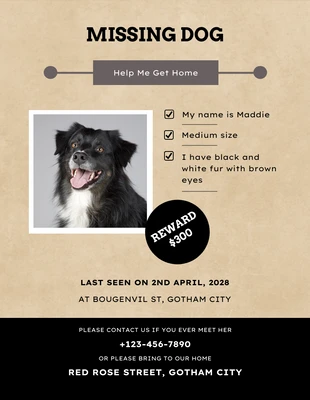 Free  Template: Brown Retro Missing Dog Poster