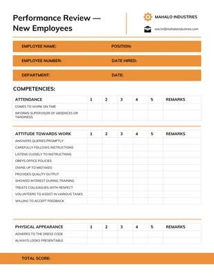 premium  Template: Employer Performance Review Examples Template