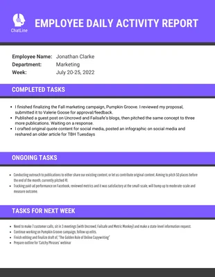 Free  Template: Sample Employee Daily Activity Report Template