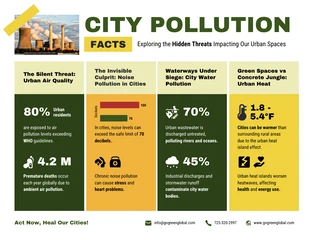 business  Template: City Pollution Facts Infographic Template