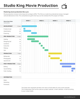 premium  Template: Movie Production Gantt Chart Diagram Template