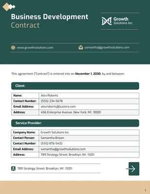 premium  Template: Business Development Contract Template