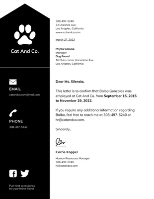 Free  Template: Company Letterhead