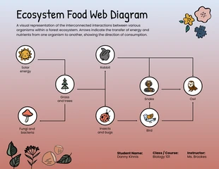 Free  Template: Illustrative Ecosystem Food Web Diagram Template