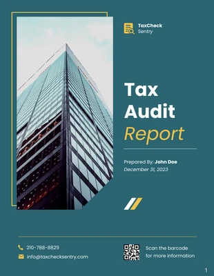 business  Template: Tax Audit Report Template