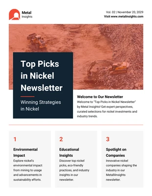 Free  Template: Top Picks in Nickel Newsletter Template