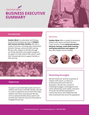 business  Template: Cranberry Business Executive Summary Example Template