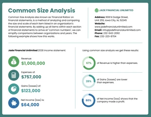 Free  Template: Common Size Income Statement Analysis Template