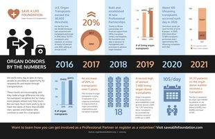 business  Template: Organ Donors Healthcare Statistical Timeline Infographic Template