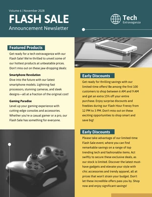 Free  Template: Flash Sale Announcement Sample Newsletter Template