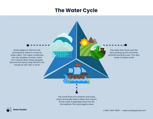 premium  Template: Triangle Infographic Template