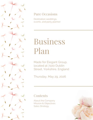 premium  Template: Wedding Planner Business Plan Template