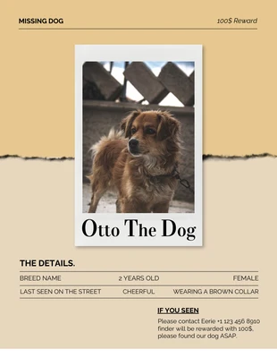 Free  Template: Soft Brown Lost Dog Poster