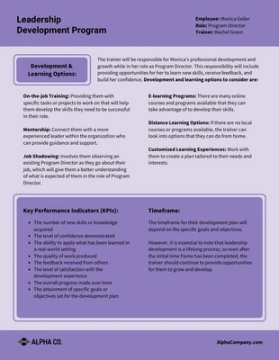 Free  Template: Leadership Development Program Framework Template