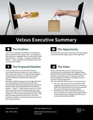 Free  Template: Executive Summary Business Proposal Example Template