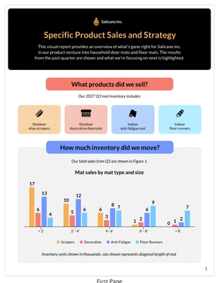 Free accessible Template: Specific Product Sales and Strategy Sales Report