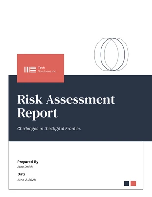 Free  Template: Risk Assessment Report Template