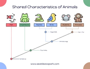 Free  Template: Cute Icons Animal Cladogram Template