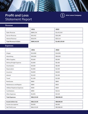 Free  Template: Profit and Loss (P&L) Report Template