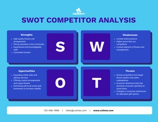 premium  Template: SWOT Analysis Marketing Plan Template