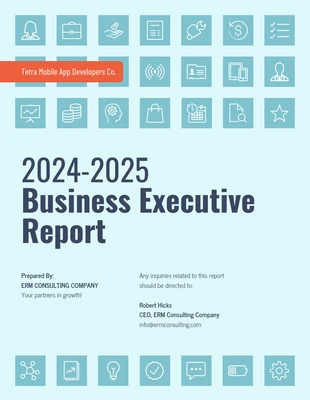 business  Template: Business Executive Report Template