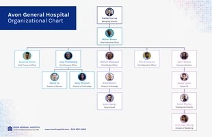 premium  Template: Hospital Organizational Chart Template