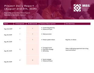 Free  Template: Project Update Daily Report Template