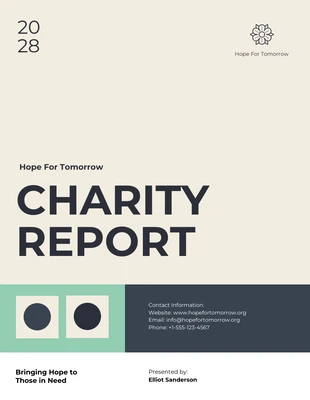 Free  Template: Charity Report Template