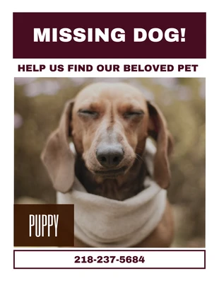 Free  Template: Missing Dog Flyer Template