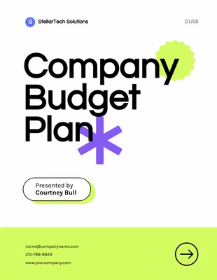 Free  Template: Colorful Company Budget Plan Template