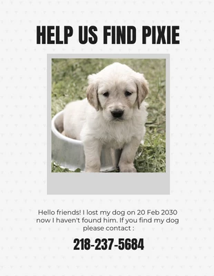 Free  Template: Wild Sand Missing Dog Flyer Template