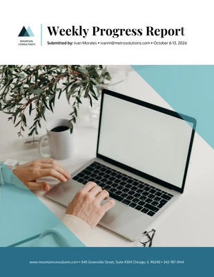 business  Template: Weekly Progress Report Template