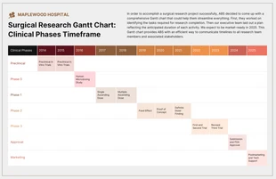 premium  Template: Colorful Medical Research Phases Gantt Chart Diagram Template