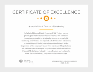 Free  Template: Silver Certificate of Excellence in Marketing Template