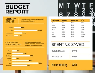 Free  Template: Budget Report Template