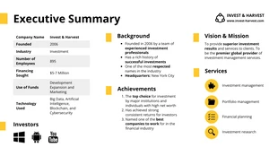 business  Template: One Page Summary Presentation Template