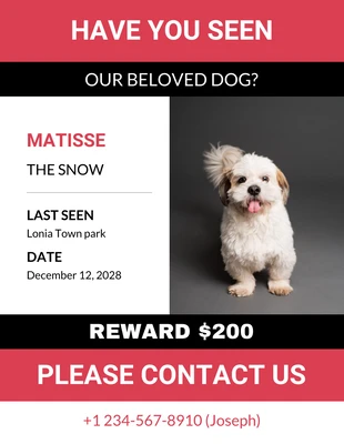 Free  Template: Red Missing Dog Poster